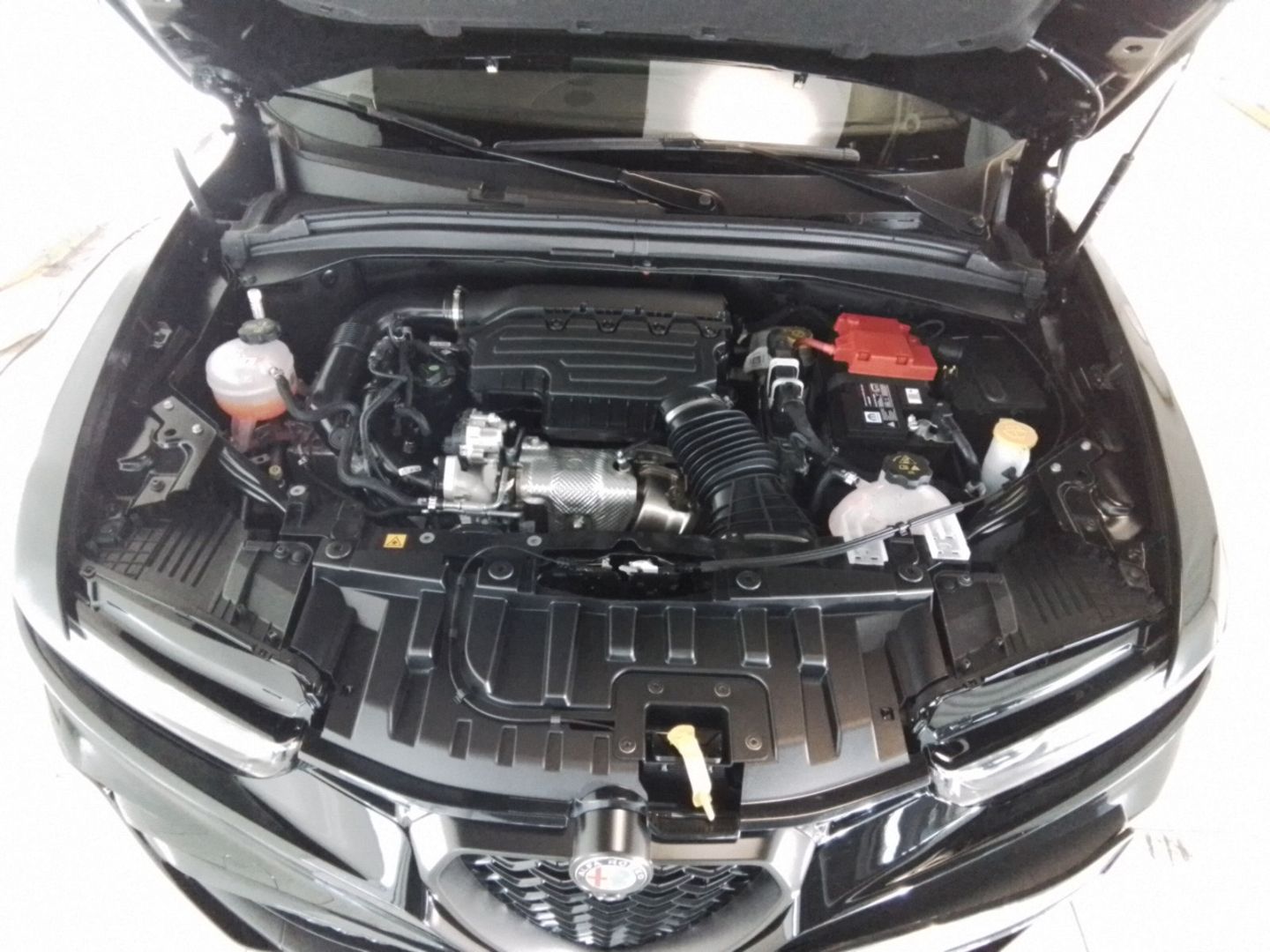 Alfa Romeo Tonale - Bild 14