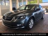 Skoda Octavia Lim Sitzheizung Apple AHK LED - Skoda Octavia Gebrauchtwagen in Münster