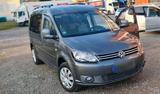 Volkswagen WV CADDY 2,0 TDI 7,SITZEN - Volkswagen Caddy mit Diesel-Antrieb: Limousine