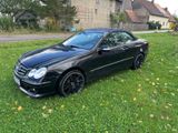 Mercedes-Benz CLK 350 Cabrio Brabus - Mercedes-Benz: Brabus C