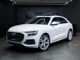 Audi Q8 50 TDI quattro - Audi Q8 mit Diesel-Antrieb: Weiß