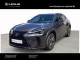 Lexus UX 300h Crossover F SPORT Design FWD - Lexus UX Tageszulassungen