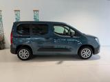 Fiat Doblò L1 1.5 MTJ 100k 6MT 75 kW 5 Sitze (102 ... - Fiat Tageszulassungen