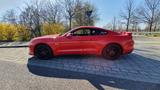Ford Mustang 5.0 Ti-VCT V8 GT GT, RECARO, 6 Gang - Ford Mustang Gebrauchtwagen in Leipzig