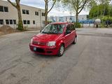 Fiat Panda 1.3 Multijet EURO 5  75 PS  T... - Fiat Panda Gebrauchtwagen in Krefeld