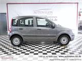 Fiat Panda 1.2 8V Classic*2Vorb*TÜV, Zahnriemen & Ser - gebrauchte Fiat Panda aus dem Jahr 2012