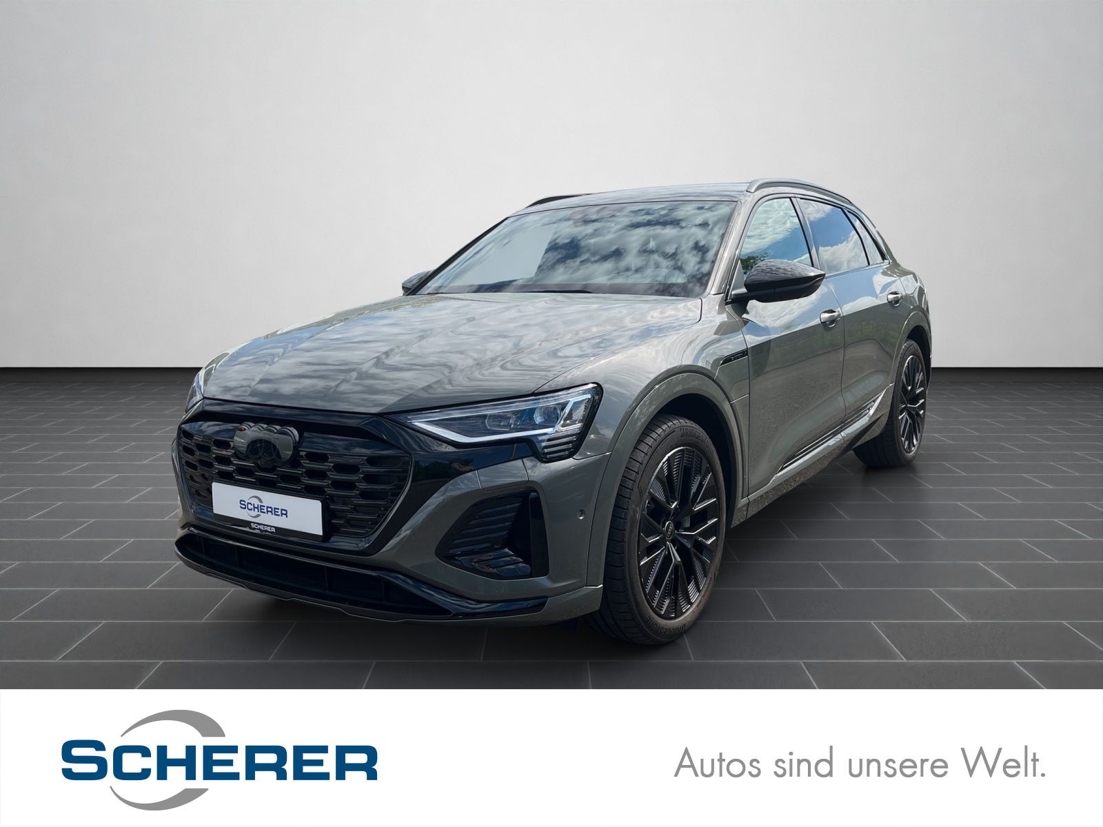 Audi Q8 e-tron 55 S line Matrix/Alu21"/AHK/air susp./