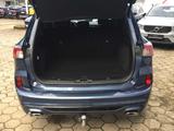 Ford Kuga 1.5 EcoBoost ST-Line X ACC, HuD, AHK, Kamer - gebrauchte Ford SUV & Geländewagen