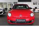 Volkswagen Beetle 2.0 TDI Cabriolet Sport SHZ*NAVI*DSG* - Volkswagen Beetle: Rot, Cabrio