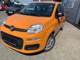 Fiat Panda Easy - Fiat Panda: Orange