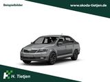 Skoda Rapid Cool Edition 1.0 TSI - Skoda Rapid in Hamburg