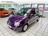Fiat Panda 1.2 8V Dynamic Klima Garantie TÜV neu - Fiat Panda: 2t