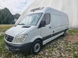 Mercedes-Benz Sprinter 313 CDI/Thermo King V300Max/2-Kühlbox - Mercedes-Benz 300cd