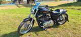 Harley-Davidson Sportster XL1200C - Offers matching your search criteria