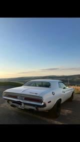 Dodge Challenger - Dodge Challenger in Dresden