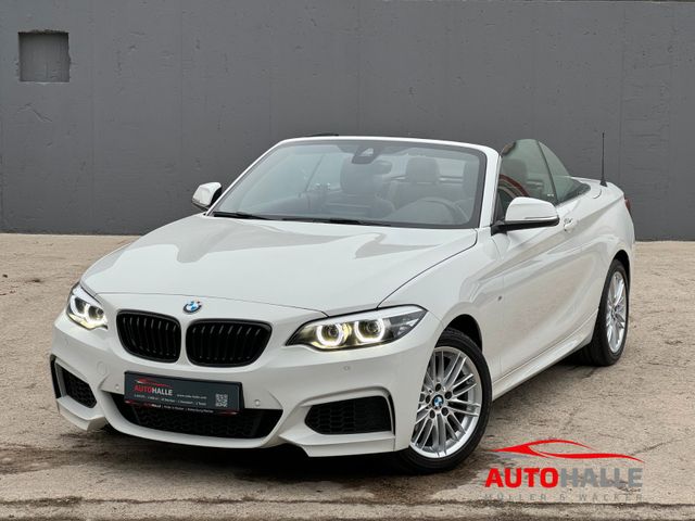 BMW 218i Cabrio Steptr M Sport HiFi NaviProf LED SHZ