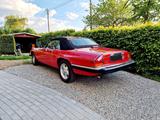 Jaguar XJSC V12 Cabrio - Jaguar: V 12