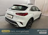 Kia XCeed Spirit 1.6 GDI DCT6 OPF Plug-in-Hybrid - Kia XCeed Spirit mit Hybrid-Antrieb (Benzin/Elektro)