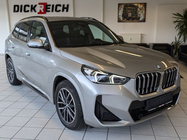 BMW X1 20 d Xd M-Sport Cam Pano ACC LED-adaptiv AHK