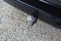 Volkswagen T7 Multivan KÜ DSG AHK ACC Standheizg. Extras