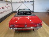 Ford Mustang Cabrio 1964 1/2 - gebrauchte Ford Mustang aus dem Jahr 1964
