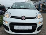 Fiat Pandina Icon Klima PDC Radio Bluetooth - Fiat Panda Neuwagen mit Benzin-Antrieb