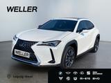 Lexus UX 250h Executive Line *HUD*Leder*GSD*el. Sitze* - Lexus Gebrauchtwagen von 2022