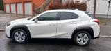 Lexus UX 250h Style Edition  - Lexus Gebrauchtwagen in Frankfurt