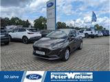Ford Fiesta Titanium 1.0 EcoBoost EU6d TITANIUM 5D 1. - Ford Fiesta: 5d