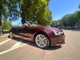 Audi A5 Cabriolet  - Audi A5: Cabrio