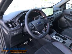 Foto Nummer 8: FORD Kuga