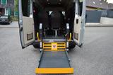 Fiat Ducato Luxusbus Panorama Modular -Rollstuhlrampe - Fiat Ducato: Luxusbus