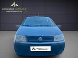 Fiat PUNTO 1.2 8V/5-TRG/TÜV-MÖGL./KLIMA/EL-F/ZV/SERVO - Fiat Punto aus 2005: 1.2