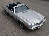 Chevrolet Camaro ~ Top original ~ 305cui.V8 ~ Roof Panels - Chevrolet Camaro: 3.8