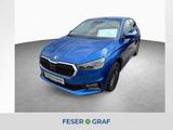 Skoda Fabia Tour 1.0TSI*DSG*WinterPaket*GRA*SmartLink* - Skoda Fabia aus 2025