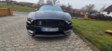 Ford Mustang 2.3 EcoBoost - GT350 Look - Ford Mustang: Gt350