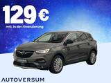 Opel Grandland X CDTI *AHK*LED*ACC*SHZ*LHZ*PANO* - Opel Grandland (X) mit Diesel-Antrieb