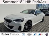 BMW 220 d Sommer18'' Hifi ParkAss LcProf ConPakProf 
