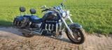Triumph Rocket  - Angebote