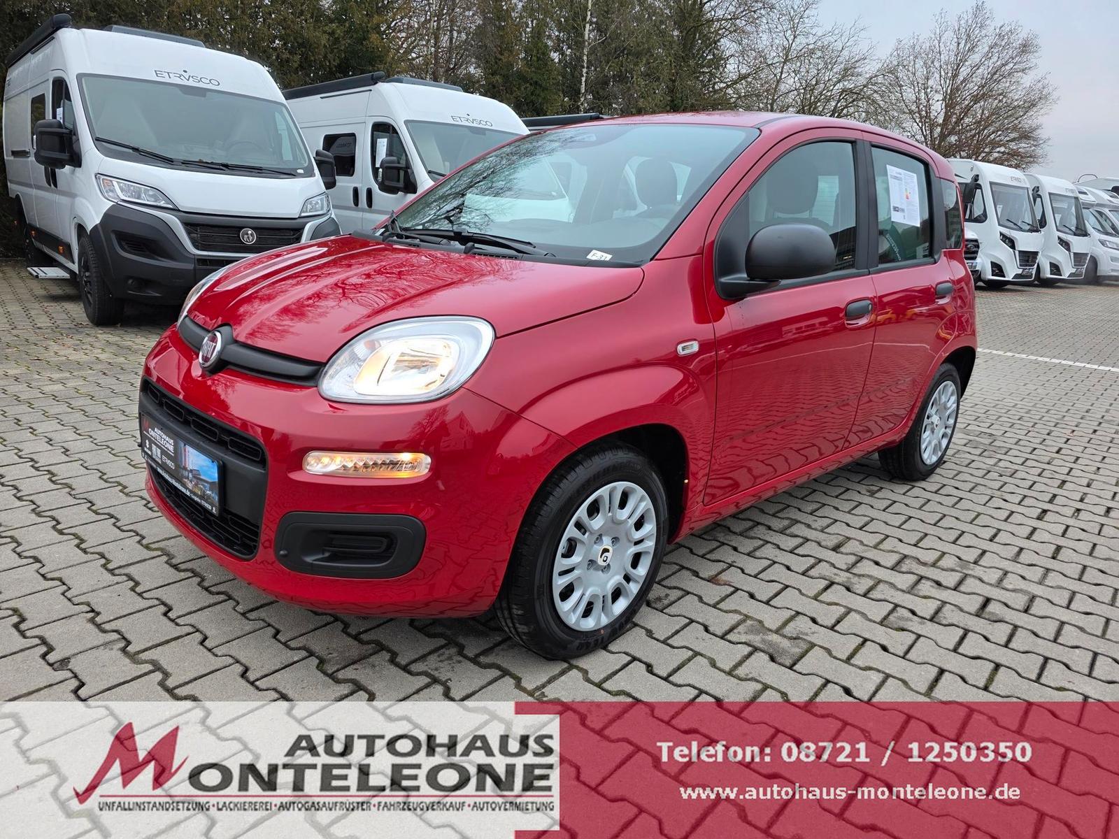 Fiat Panda MY25 Pandina ICON Hybrid | PDC | 5Sitze
