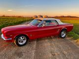 Ford Mustang V8 Cabrio 1965 - Ford Mustang aus 1965: Cabrio