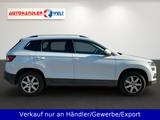 Skoda Karoq 2.0 TDI Style 4x4 DSG Canton LED - Skoda Karoq in Halle
