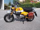 Honda Monkey  Z 125 MA