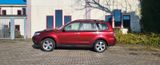 Subaru Forester Comfort *4X4 Panoramadach*Nav.Kamera - Subaru Forester aus 2012 mit Diesel-Antrieb