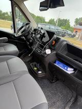 Fiat Ducato Pferdetransporter 