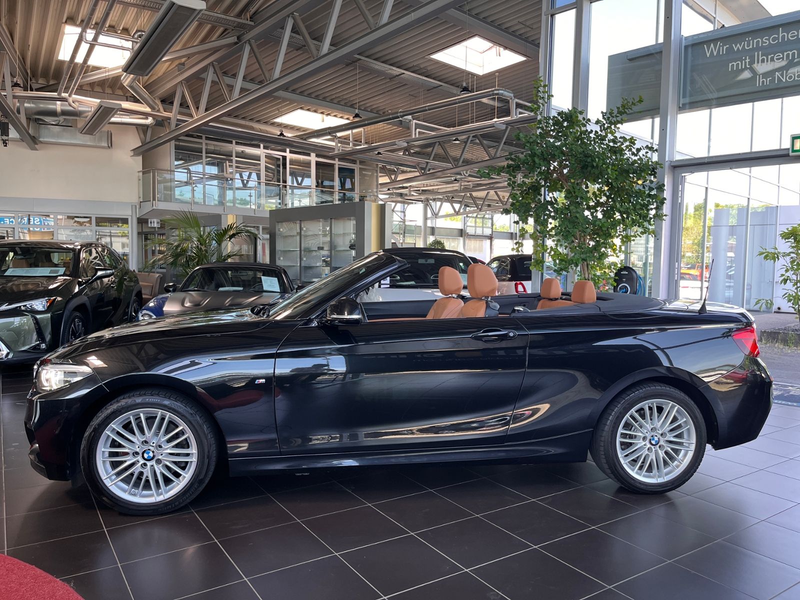 Fahrzeugabbildung BMW 220i Cabrio M Sport Shadow LED NAV RFK SHZ 18"