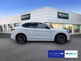 Alfa Romeo Stelvio Veloce 2.0 Turbo Q4 280 Automatik *Assis - Alfa Romeo Gebrauchtwagen in Mainz