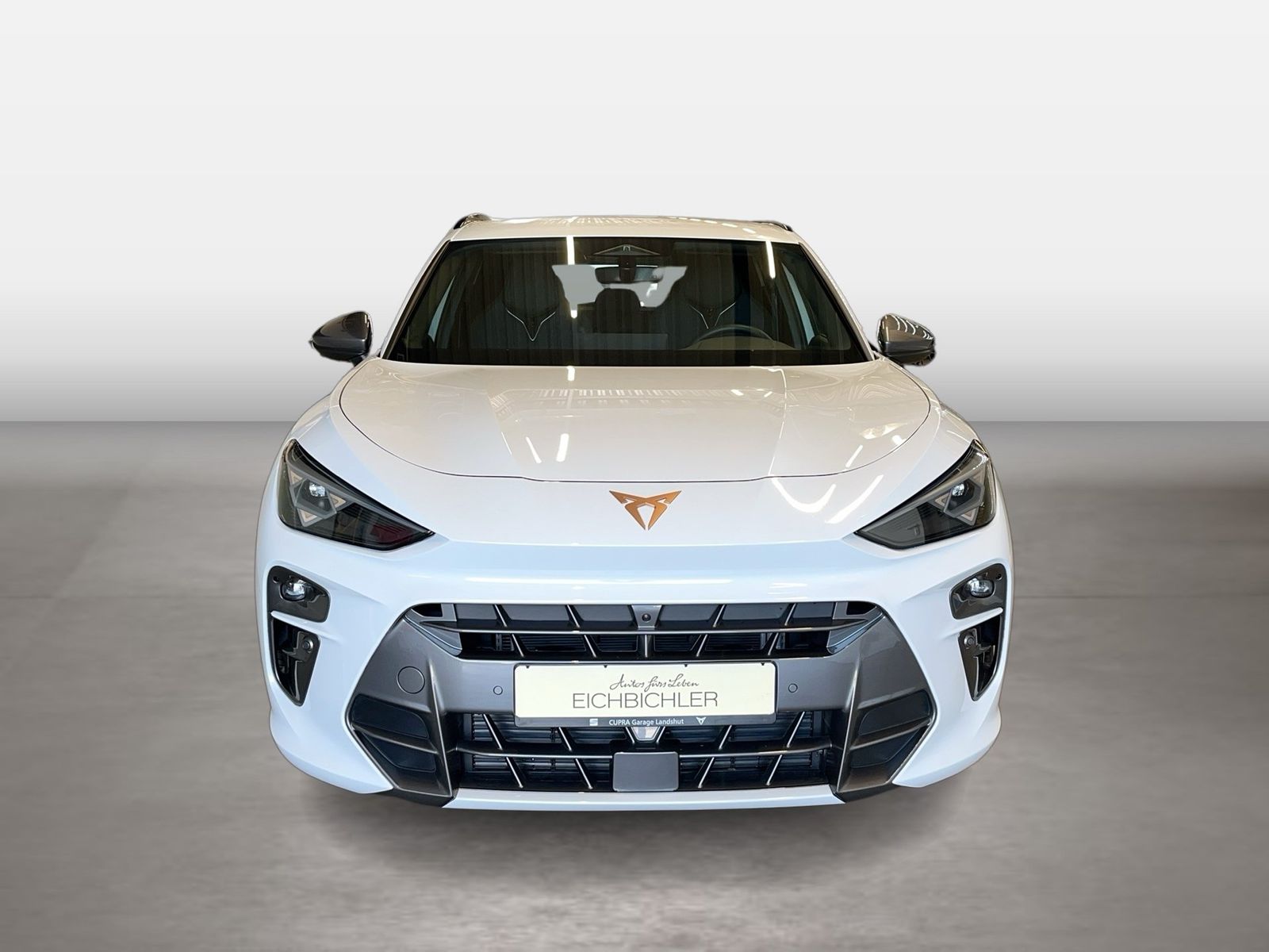 Cupra Terramar - Bild 7