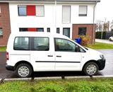 Volkswagen Caddy 1,6TDI 55kW Startline 5-Sitzer Startline - Volkswagen Caddy: Startline