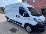 Fiat Ducato - Fiat Ducato Gebrauchtwagen in Hamburg